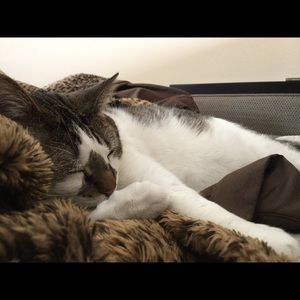 Meet your Posher, Michelle