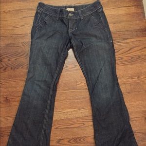 William Rast flare trouser Jean