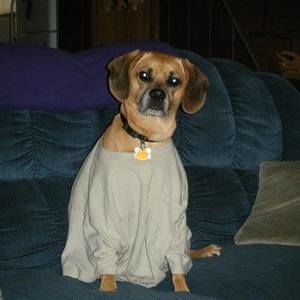 Meet your Posher, Tina