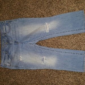 American eagle destructed crops size 18