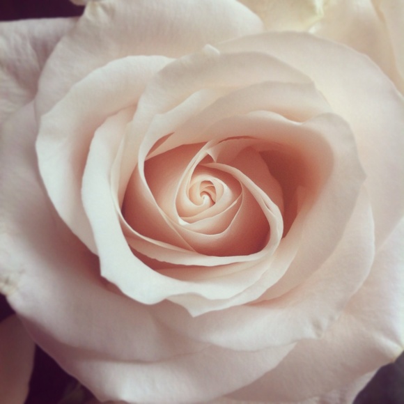 Meet your Posher, Megan - Picture 1 of 1