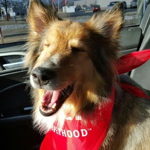 Meet your Posher, Candace