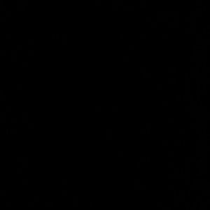 Meet your Posher, Fatisha