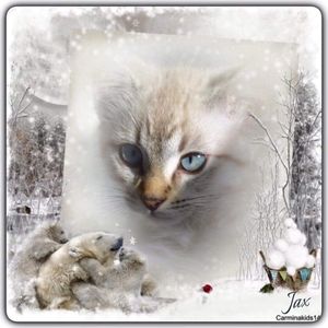 Meet your Posher, Christina