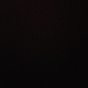 Meet your Posher, Tabitha