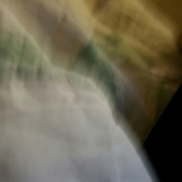 Meet your Posher, Riley - Picture 1 of 1