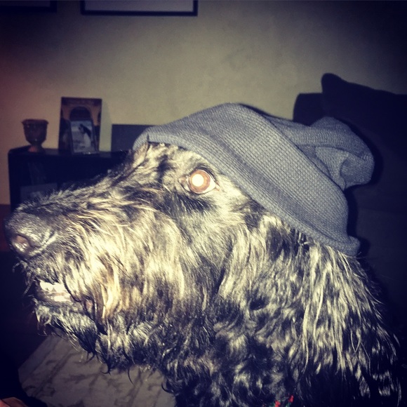 Meet your Posher, Janice