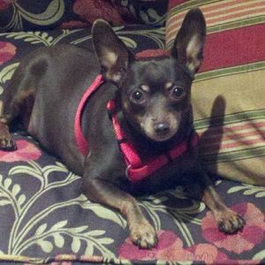 Meet your Posher, Christina