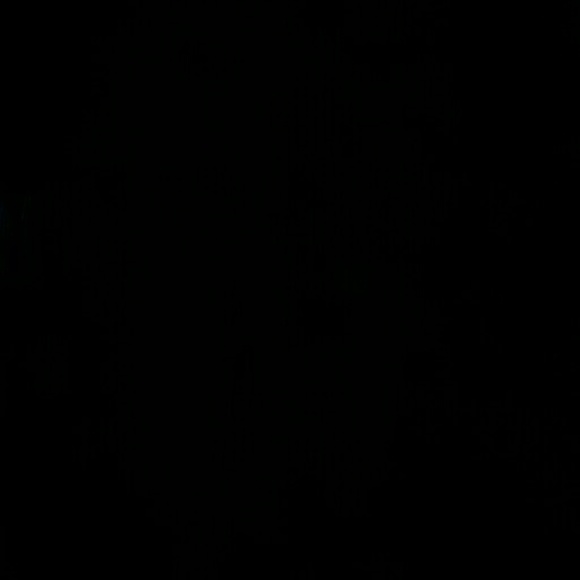 Meet your Posher, Anne