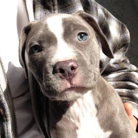 Meet your Posher, Serly