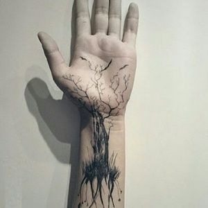 Meet your Posher, Manuel