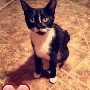 Meet your Posher, Melanie