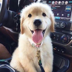 Meet your Posher, Sky