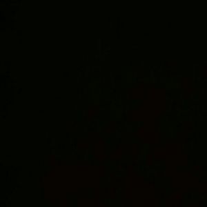 Meet your Posher, Terrell