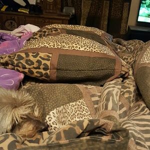 Meet your Posher, Kendra