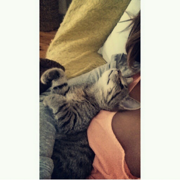 Meet the posher, Tierney - Picture 4 of 4