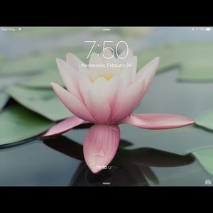 Meet your Posher, Vera