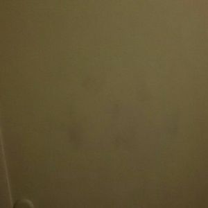 Meet your Posher, Wesley