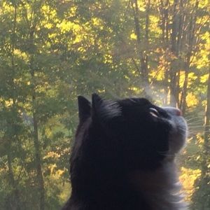 Meet your Posher, Patty