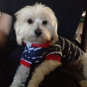 Meet your Posher, Jenna