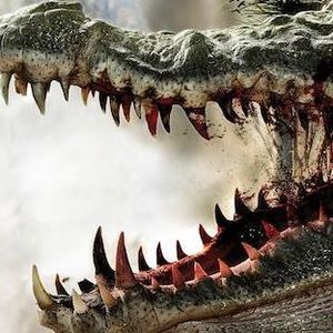 Meet your Posher, Dennis