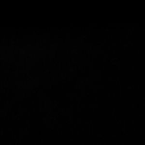 Meet your Posher, Shirley