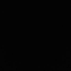 Meet your Posher, Logan