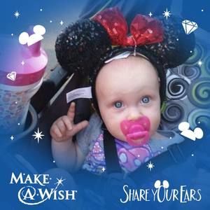 Meet your Posher, Molly