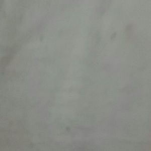 Meet your Posher, Evan