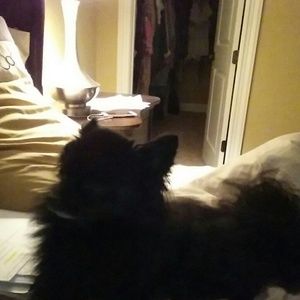 Meet your Posher, Beth