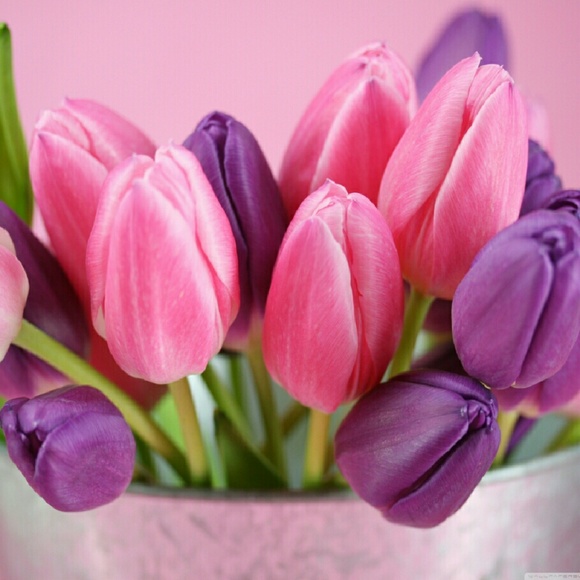 Meet your Posher, Kristin - Picture 1 of 1