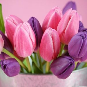 Meet your Posher, Kristin