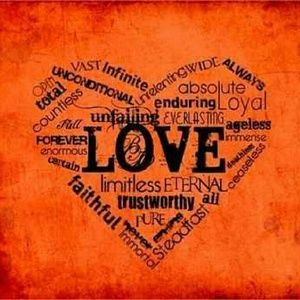 Meet your Posher, Rose