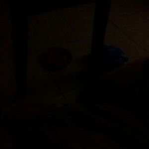 Meet your Posher, Christy