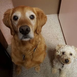 Meet your Posher, Jenny