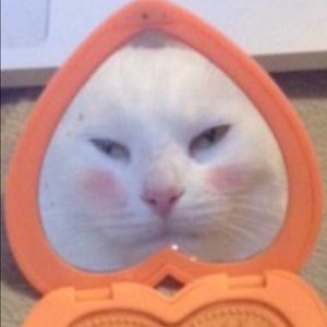 Meet your Posher, Molly