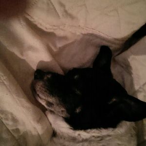 Meet your Posher, Catherine