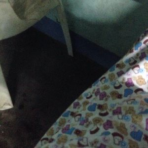 Meet your Posher, Trinh