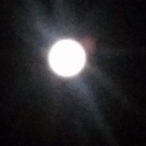 Meet your Posher, Becky