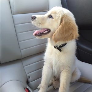 Shorts bundle for Mireia!!!