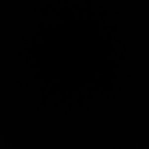 Meet your Posher, Ruby