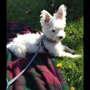 Meet your Posher, Pamela