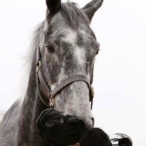 Meet your Posher, Gina