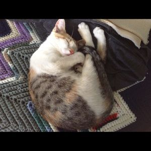 Meet your Posher, Suzanne