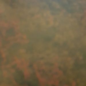 Meet your Posher, Ronda