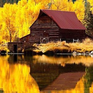 Meet your Posher, Chastity