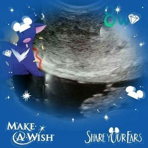 Meet your Posher, Arielle