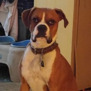 Meet your Posher, Kathy