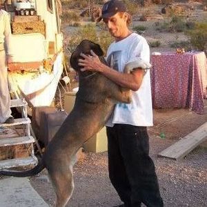 Meet your Posher, Steven