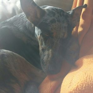 Meet your Posher, Cameron